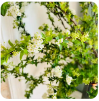 极速体育在线观看,非凡娱乐直播在线观看,极速体育直播nba在线视频直播,极速体育nba在线直播免费观看直播,极速体育jrs直播在线观看