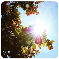 极速体育在线观看,非凡娱乐直播在线观看,极速体育直播nba在线视频直播,极速体育nba在线直播免费观看直播,极速体育jrs直播在线观看