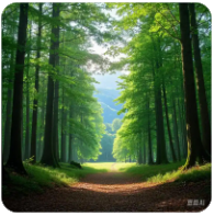 极速体育在线观看,非凡娱乐直播在线观看,极速体育直播nba在线视频直播,极速体育nba在线直播免费观看直播,极速体育jrs直播在线观看