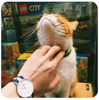 极速体育在线观看,非凡娱乐直播在线观看,极速体育直播nba在线视频直播,极速体育nba在线直播免费观看直播,极速体育jrs直播在线观看