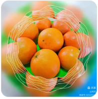 极速体育在线观看,非凡娱乐直播在线观看,极速体育直播nba在线视频直播,极速体育nba在线直播免费观看直播,极速体育jrs直播在线观看